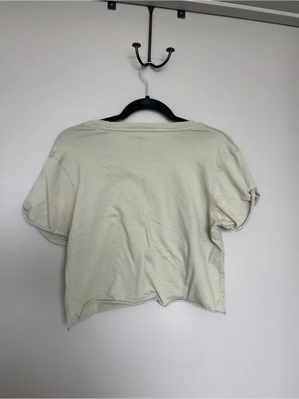 Free People We The Free Cropped Tee in Sage